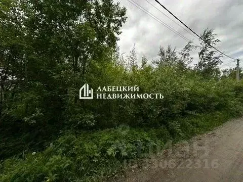 Участок в Ленинградская область, Гатчинский муниципальный округ, ... - Фото 2
