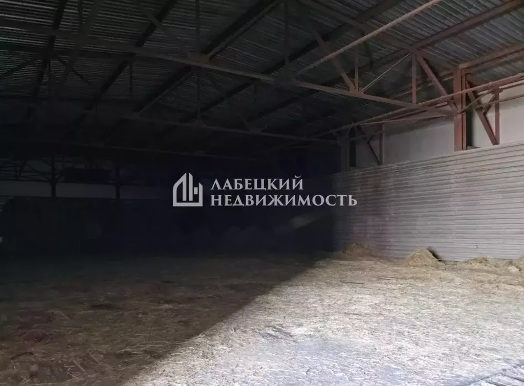 Помещение свободного назначения в Ленинградская область, Всеволожский ... - Фото 2