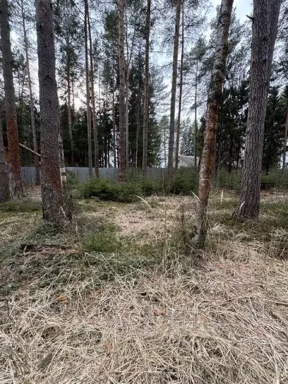 Участок в Московская область, Талдомский городской округ, Вербилки пгт ... - Фото 0