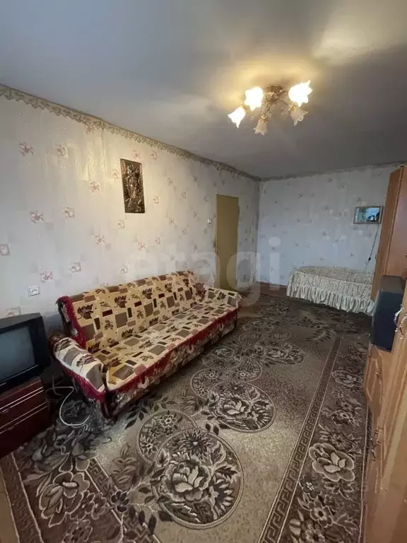 1-к кв. Чувашия, Канаш ул. Репина, 18 (33.4 м) - Фото 1