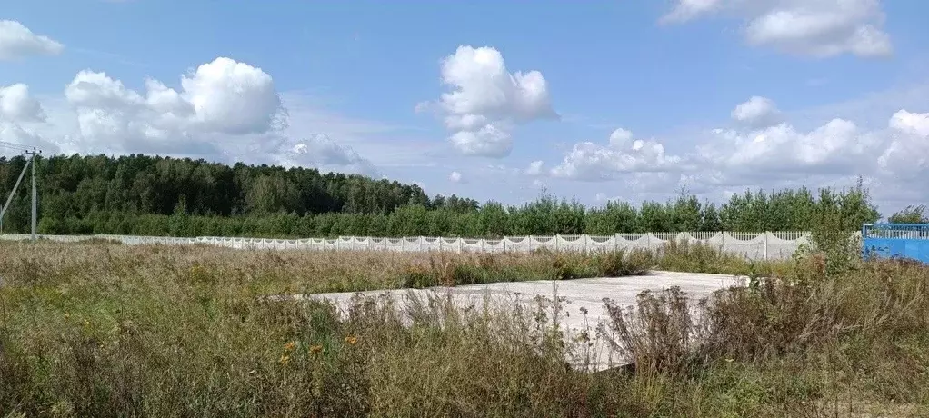 Участок в Свердловская область, Екатеринбург муниципальное ... - Фото 0