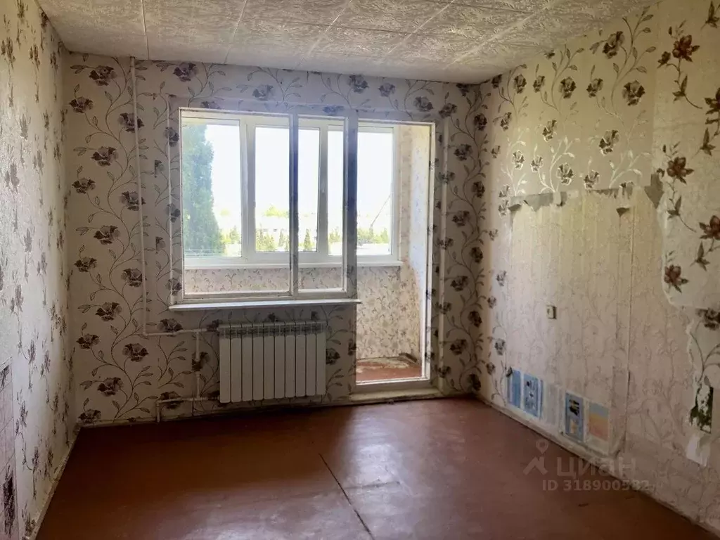 1-к кв. Севастополь ул. Героев Бреста, 25 (31.0 м) - Фото 0