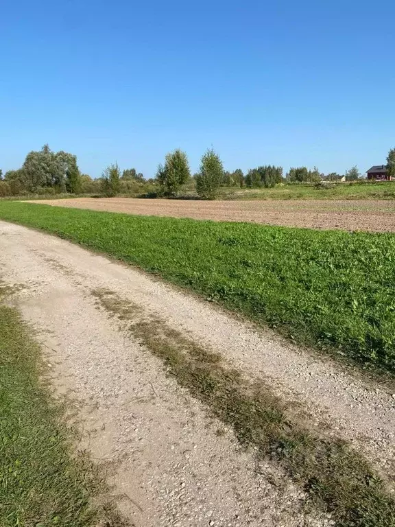 Участок в Новгородская область, Новгородский район, Ракомское с/пос, ... - Фото 0