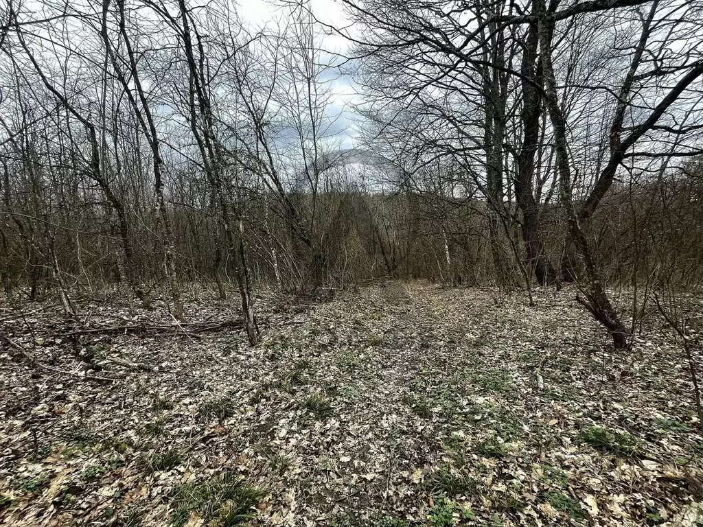 Участок в Краснодарский край, Апшеронский район, Нефтегорск пгт  (25.0 ... - Фото 1