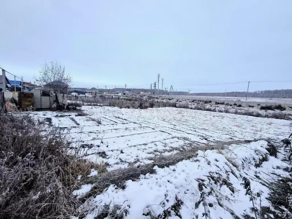 Участок в Челябинская область, Сосновский район, Кременкульское с/пос, ... - Фото 0