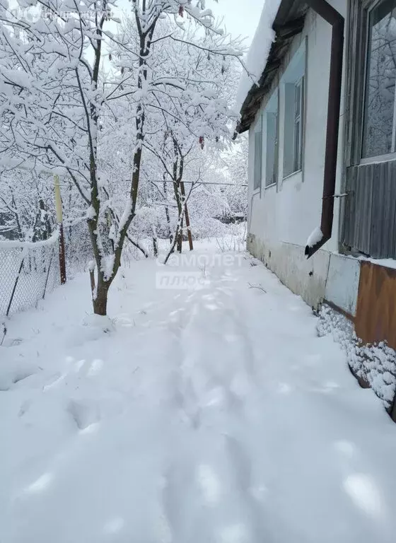 Дом в село Гремячье, улица Чкалова, 27 (52 м) - Фото 2