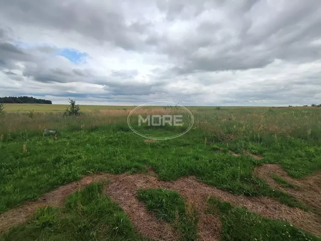 Участок в Калининградская область, Гвардейский муниципальный округ, ... - Фото 1