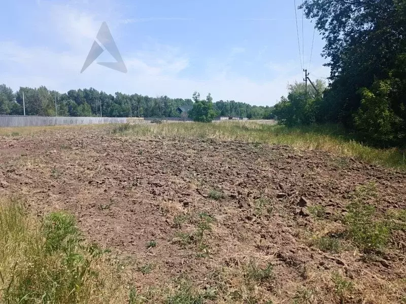 Участок в Волгоградская область, Среднеахтубинский район, Клетское ... - Фото 1