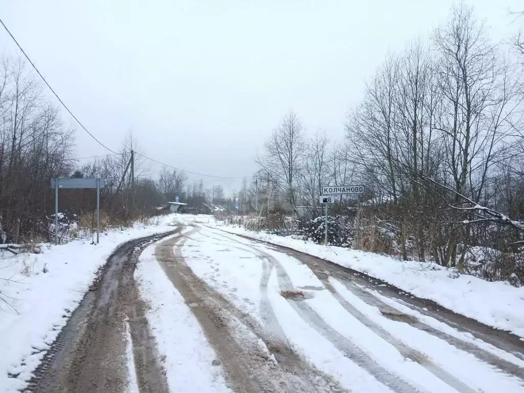 Участок в Ленинградская область, Волховский район, Колчановское с/пос, ... - Фото 2
