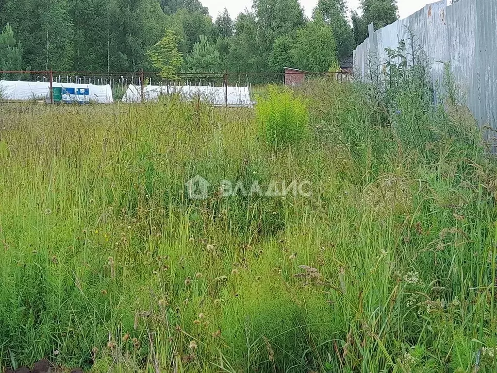 Участок в Нижегородская область, Богородский муниципальный округ, д. ... - Фото 1