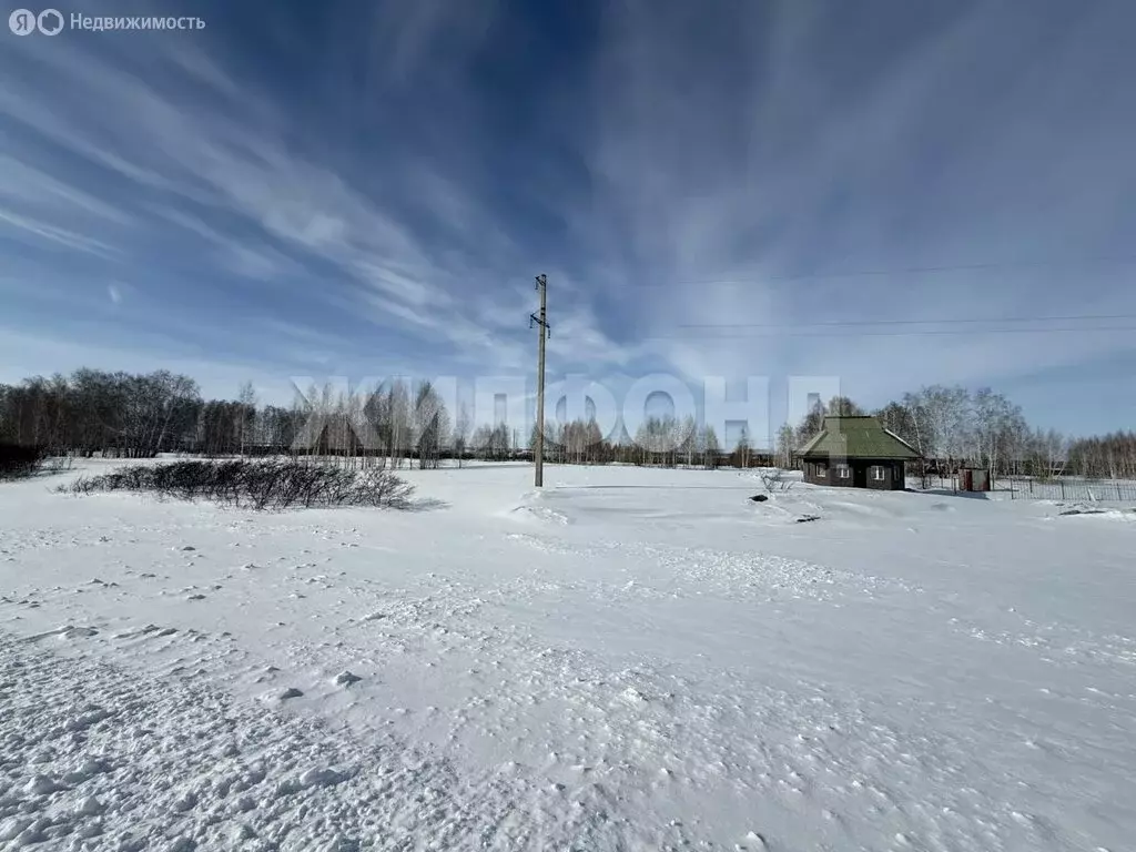 Участок в Новосибирская область, Коченёвский муниципальный район, ... - Фото 2