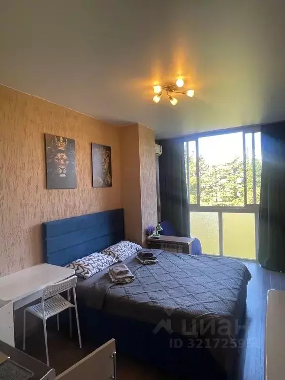 Студия Краснодарский край, Сочи Курортный просп., 75к1 (21.0 м) - Фото 1
