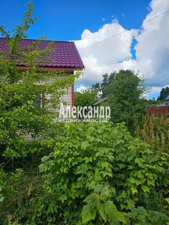 Дом в Карелия, Лахденпохья Лесная ул., 15 (59 м) - Фото 0