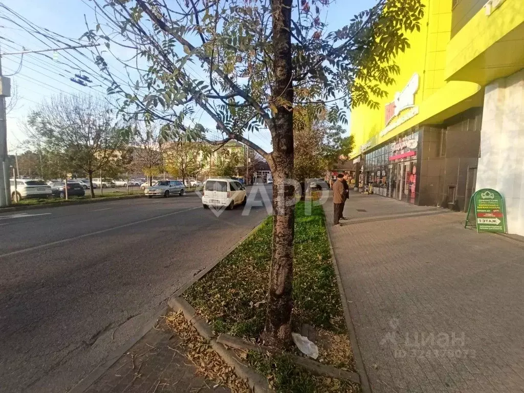 Помещение свободного назначения в Краснодарский край, Краснодар 1 Мая ... - Фото 2