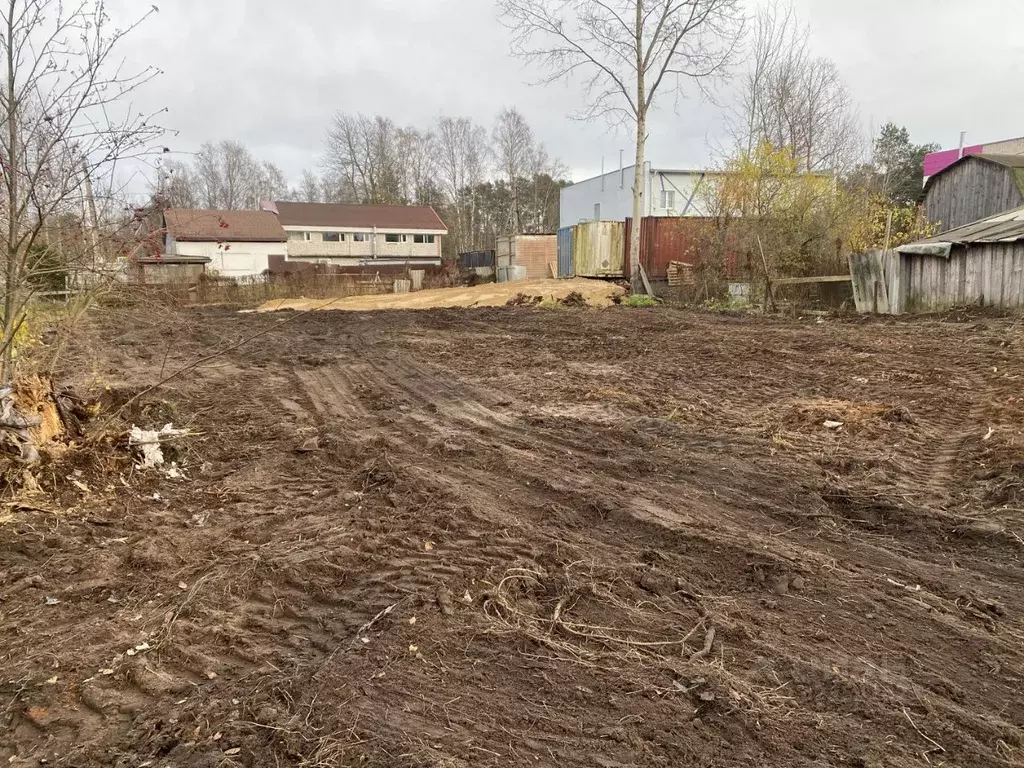 Участок в Ленинградская область, Приозерск ул. Цветкова, 44 (9.0 сот.) - Фото 2