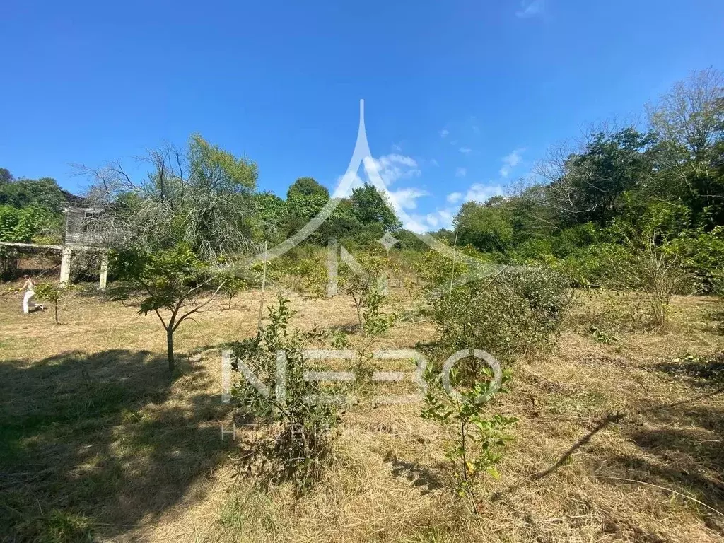 Участок в Краснодарский край, Сочи городской округ, с. Горное Лоо ул. ... - Фото 1