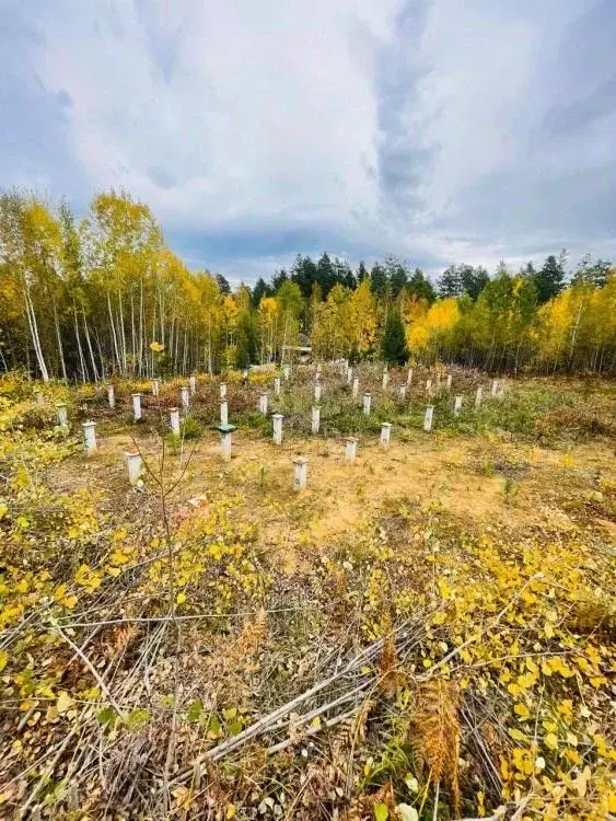 Участок в Иркутская область, Иркутский муниципальный округ, д. ... - Фото 1