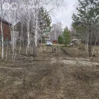 Участок в Новосибирская область, Коченёвский муниципальный район, ... - Фото 2