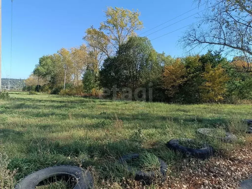 Участок в Курская область, Курский район, Моковский сельсовет, д. ... - Фото 2