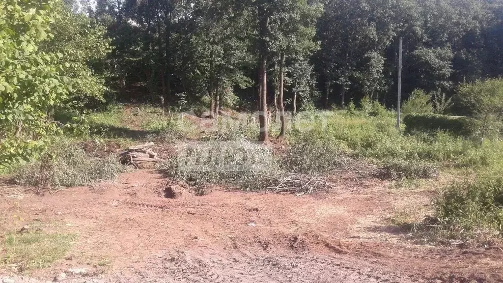 Участок в Московская область, Дмитров Подчерково-3 мкр,  (15.0 сот.) - Фото 1