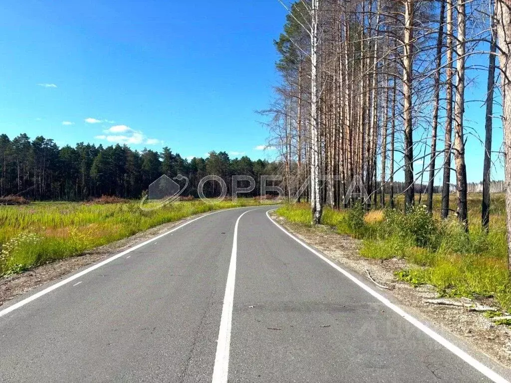 Участок в Тюменская область, Тюменский район, д. Речкина  (24.0 сот.) - Фото 0