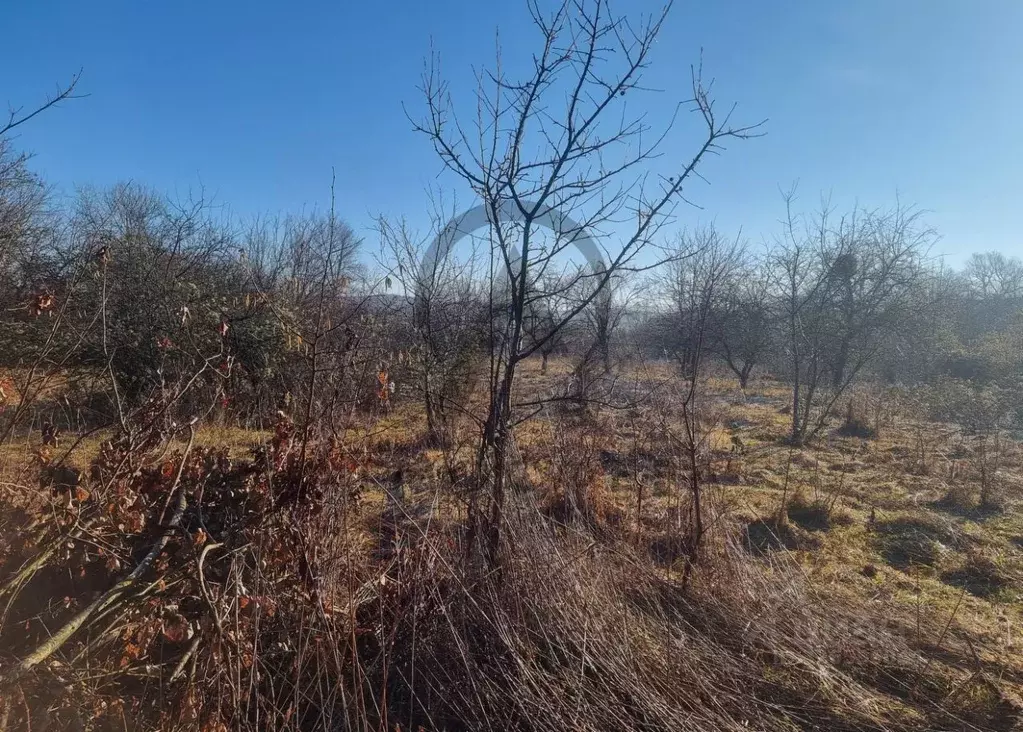 Участок в Краснодарский край, Хадыженск Апшеронский район, ул. Галкина ... - Фото 2