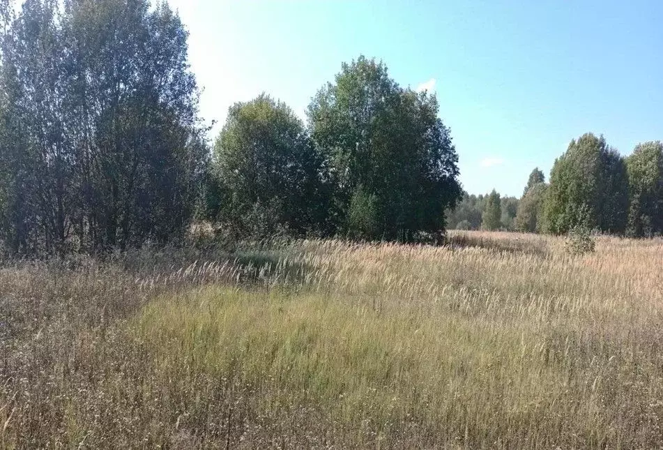 Участок в Московская область, Дмитровский муниципальный округ, д. ... - Фото 1