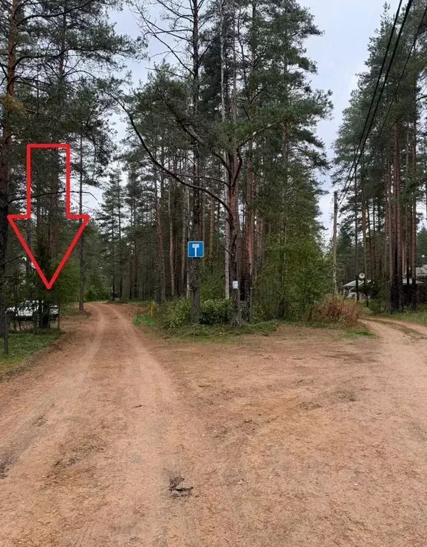 Участок в Ленинградская область, Выборгский район, Рощинское городское ... - Фото 1
