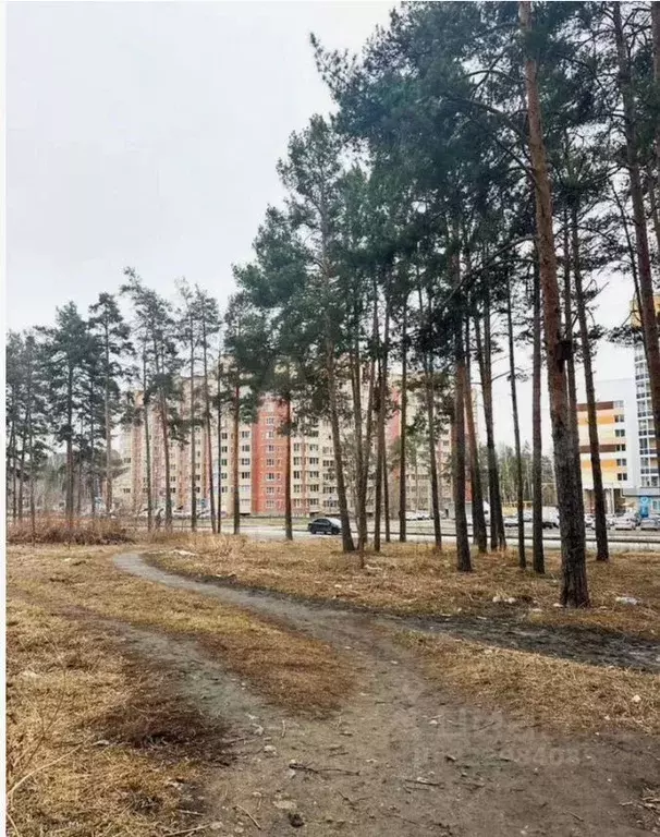 3-к кв. Свердловская область, Екатеринбург ул. Рощинская, 48 (64.2 м) - Фото 2