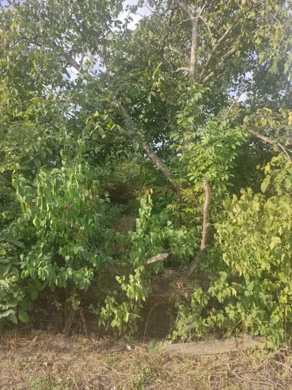 Участок в Ростовская область, Новочеркасск Войсковая ул., 95 (6.0 ... - Фото 2