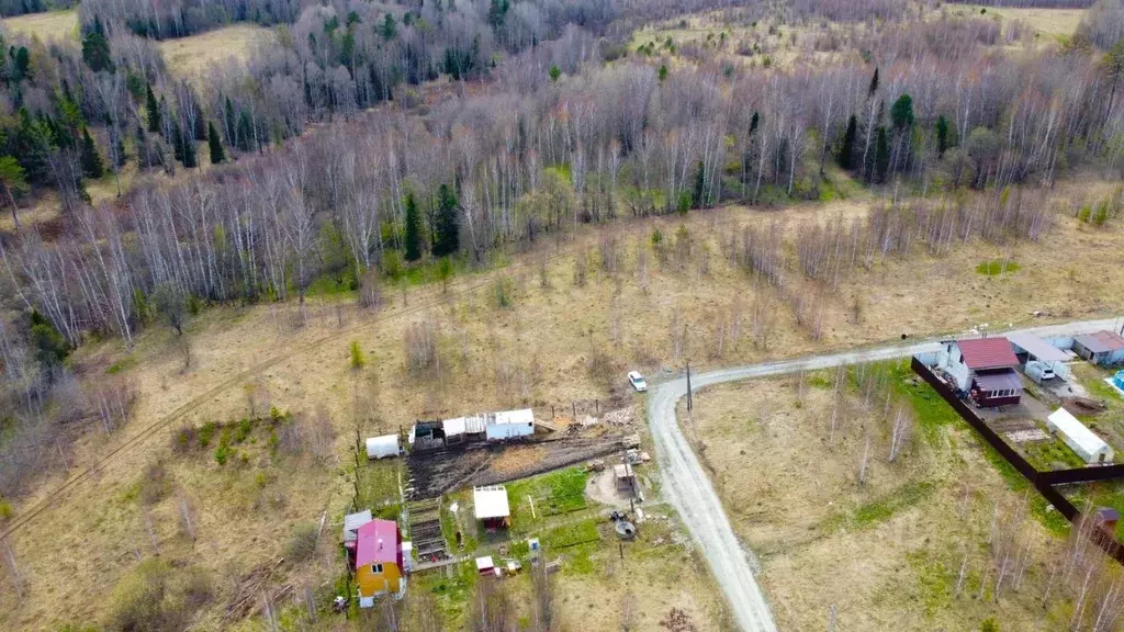 Участок в Томская область, Томский район, Новые Вешки ДНТ ул. ... - Фото 1