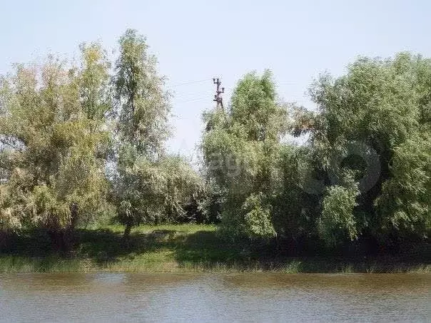 Участок 3,09 га (СНТ, ДНП) - Фото 1