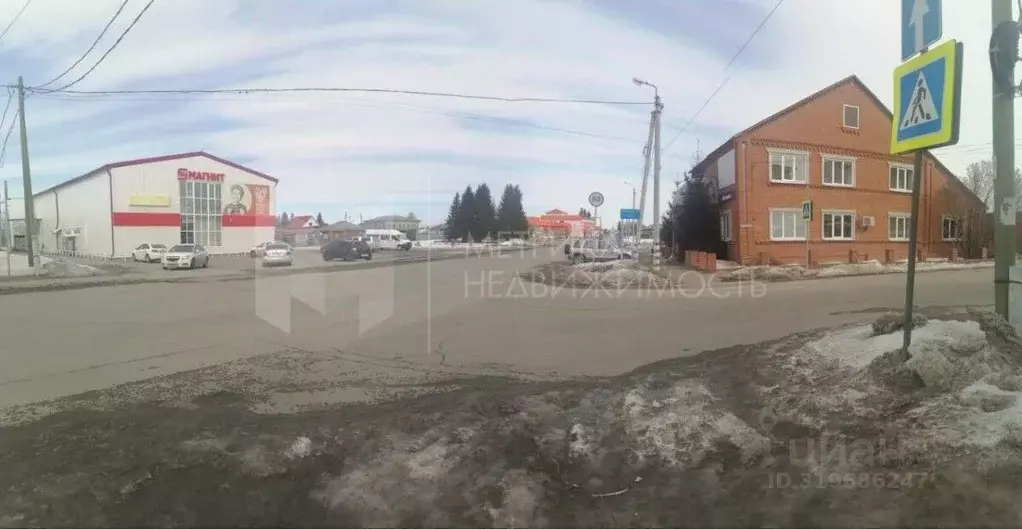 Коттедж в Тюменская область, с. Упорово ул. Чивилева, 1 (390 м) - Фото 0