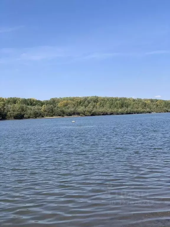 Участок в Новосибирская область, Новосибирск Европейский кп, ул. ... - Фото 2