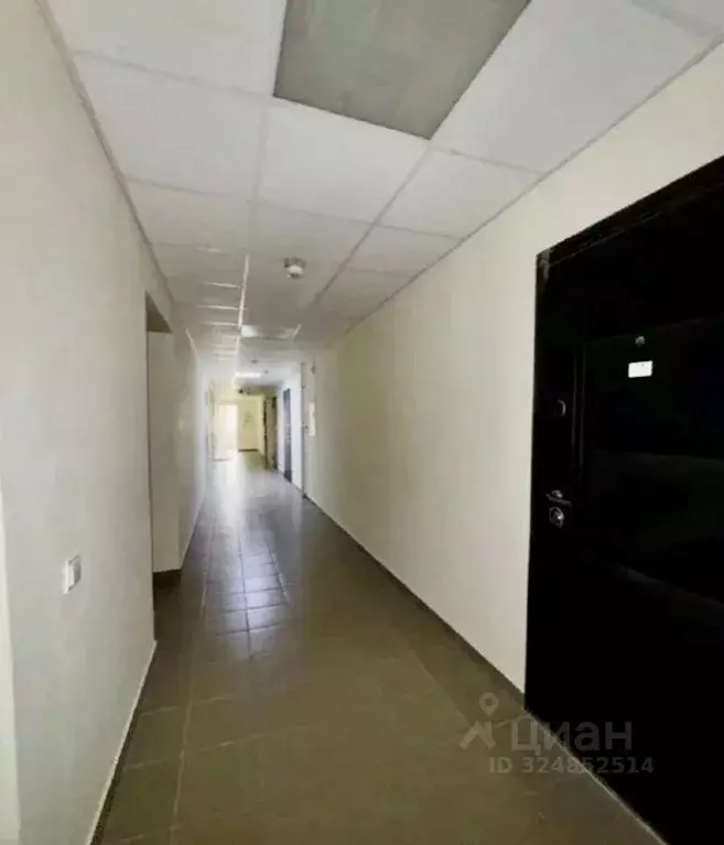 Студия Ростовская область, Ростов-на-Дону ул. Мечникова, 130 (23.0 м) - Фото 2