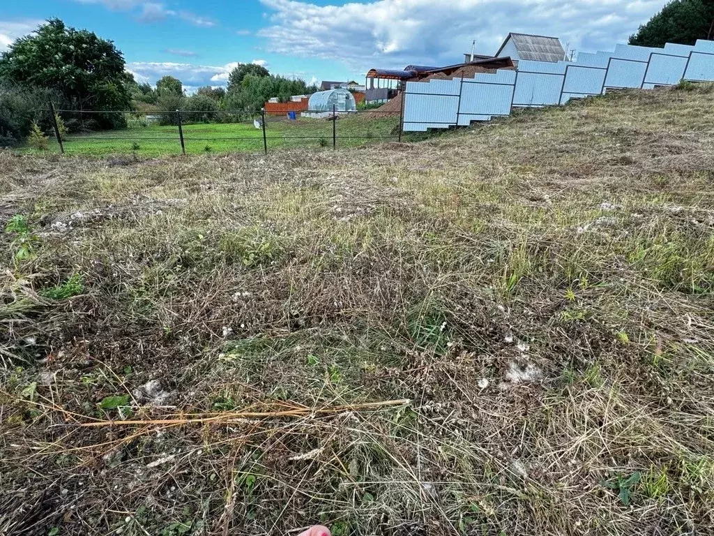 Участок в Пермский край, Осинский муниципальный округ, д. Мазунина ул. ... - Фото 0