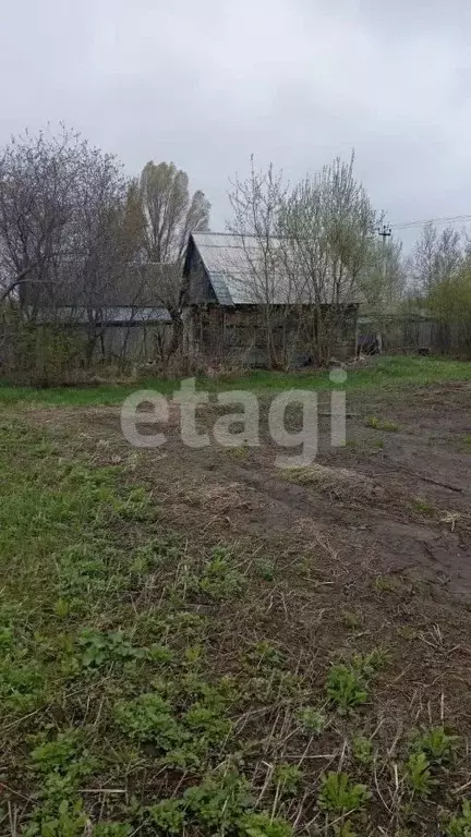 Участок в Брянская область, Брянский район, Мичуринское с/пос, ... - Фото 1