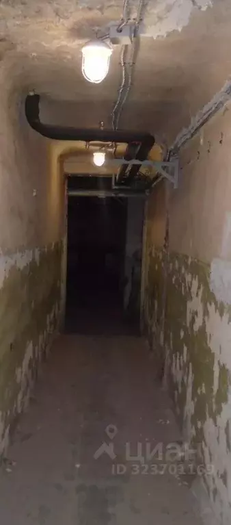 Помещение свободного назначения в Новосибирская область, Новосибирск ... - Фото 2