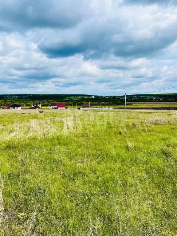 Участок в Воронежская область, Новоусманский район, с. Бабяково  (7.2 ... - Фото 1