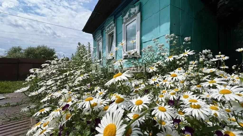 Дом в Михайловка, Амурская улица, 24 (73.7 м) - Фото 0