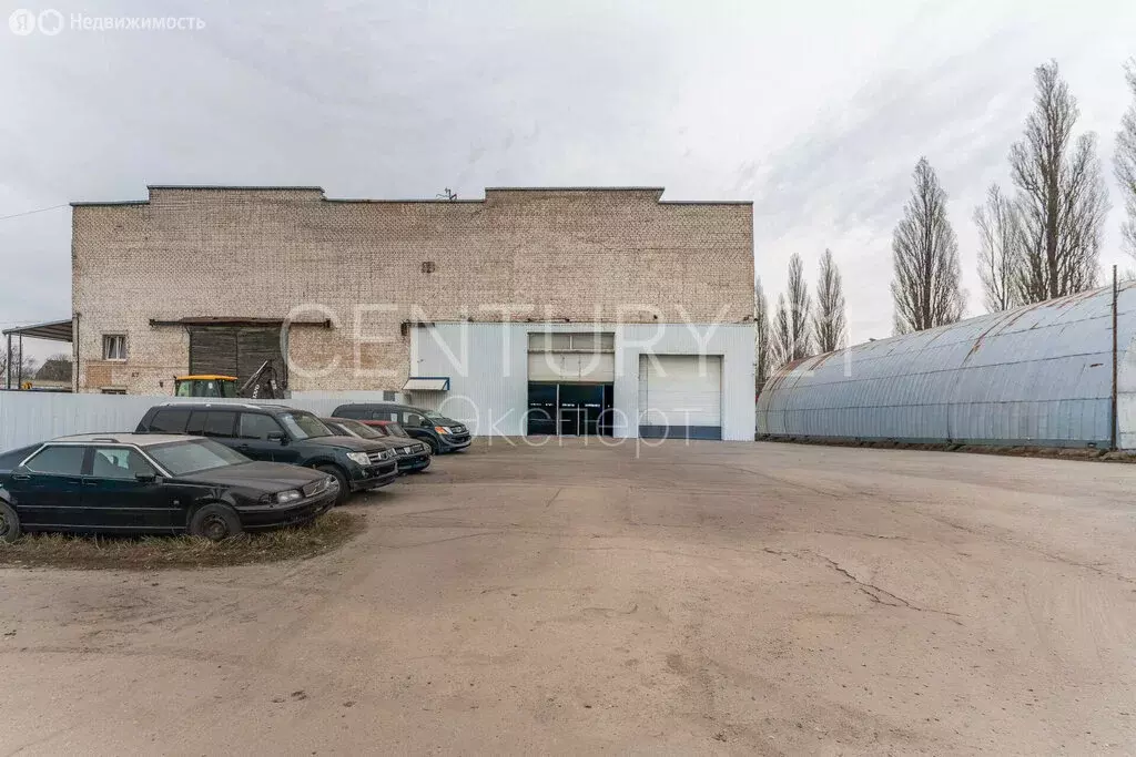 Помещение свободного назначения (305 м) - Фото 2