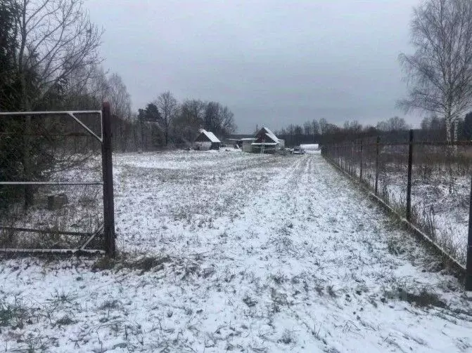 Участок в Московская область, Рузский муниципальный округ, д. ... - Фото 1