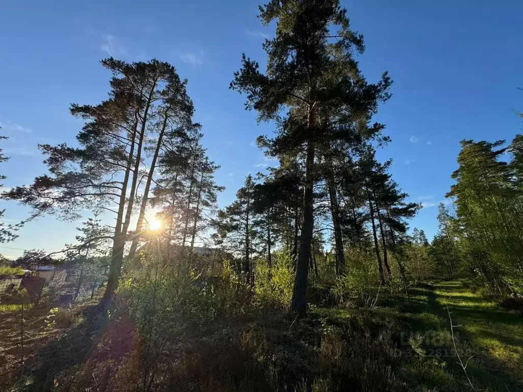 Участок в Ленинградская область, Выборгский район, Полянское с/пос, ... - Фото 2
