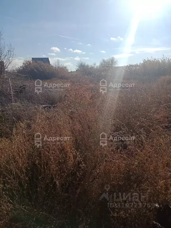Участок в Волгоградская область, Светлоярский район, ... - Фото 0