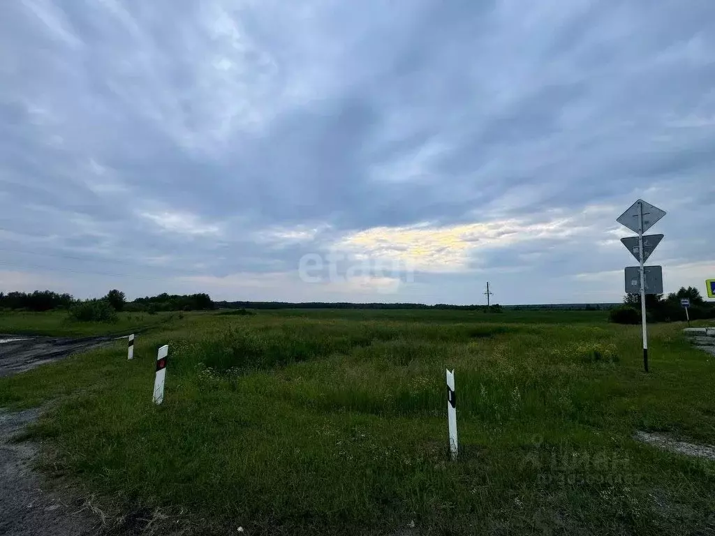 участок в свердловская область, тугулымский городской округ, с. яр . - Фото 1