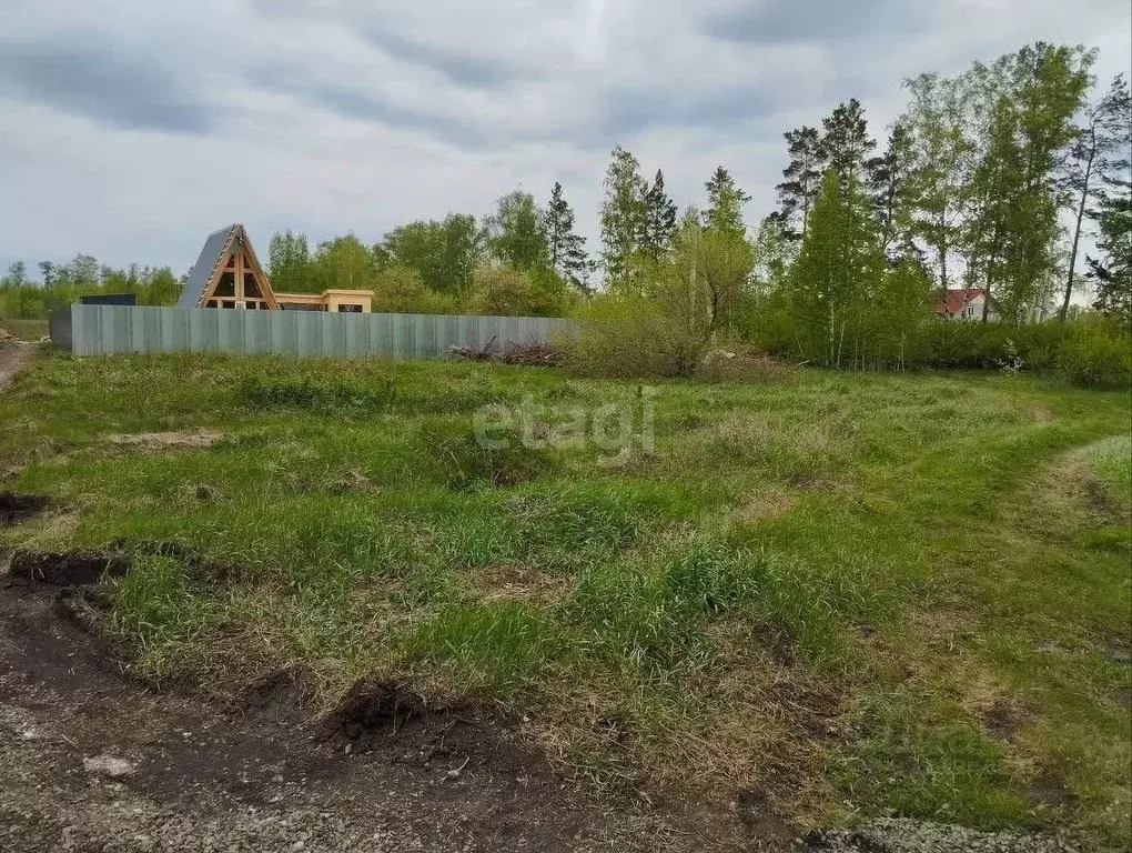 Участок в Челябинская область, Красноармейский район, Лазурненское ... - Фото 0