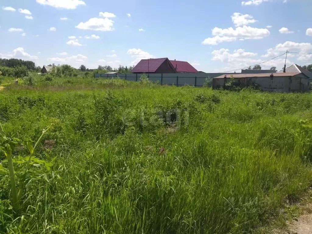 Участок в Новосибирская область, Колыванский район, Север ТСН 107 ... - Фото 1