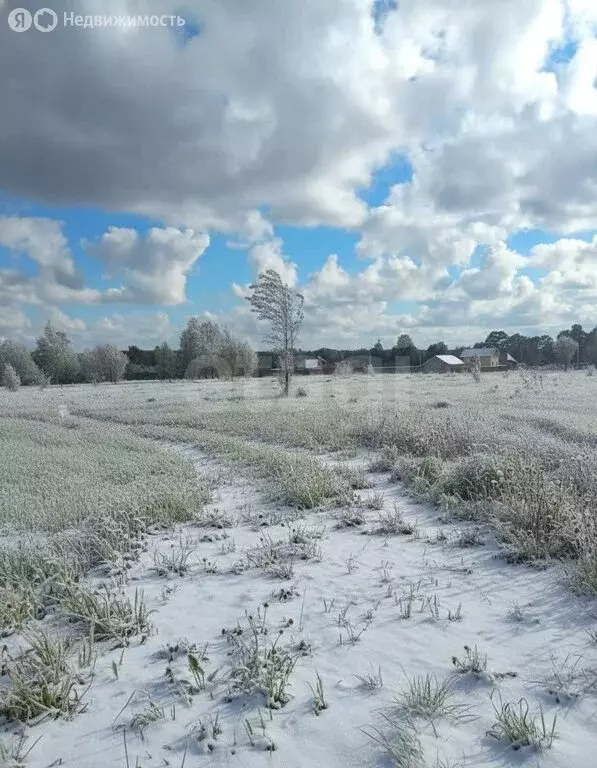 Участок в Заокский район, сельское поселение Демидовское, село ... - Фото 2
