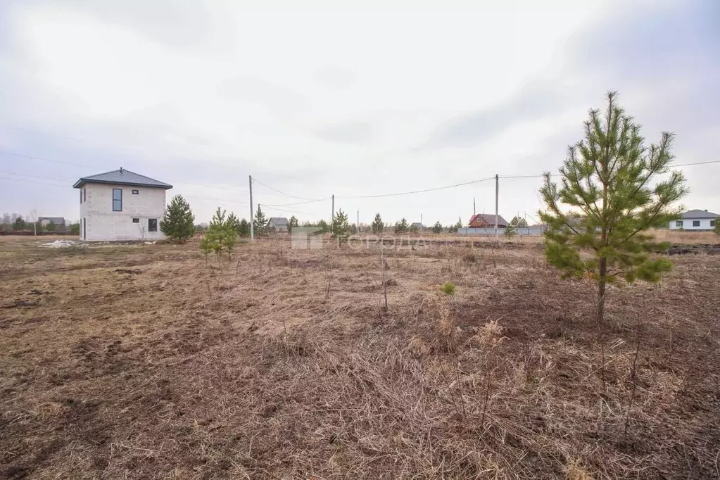 Участок в Алтайский край, Первомайский район, пос. Новый ул. 2-я ... - Фото 1
