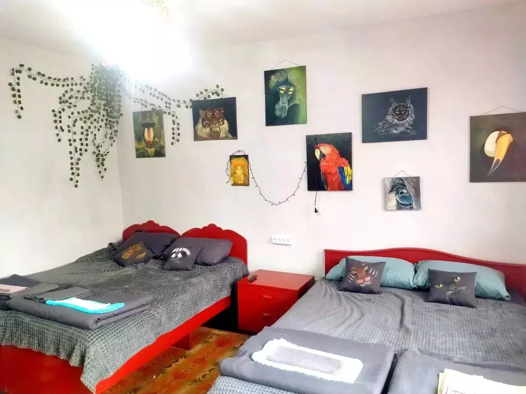 Комната Ставропольский край, Кочубеевский муниципальный округ, ... - Фото 2